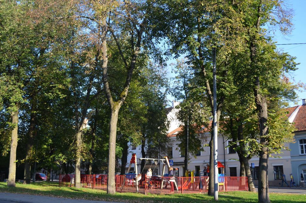 Dora Uzupis Appartement